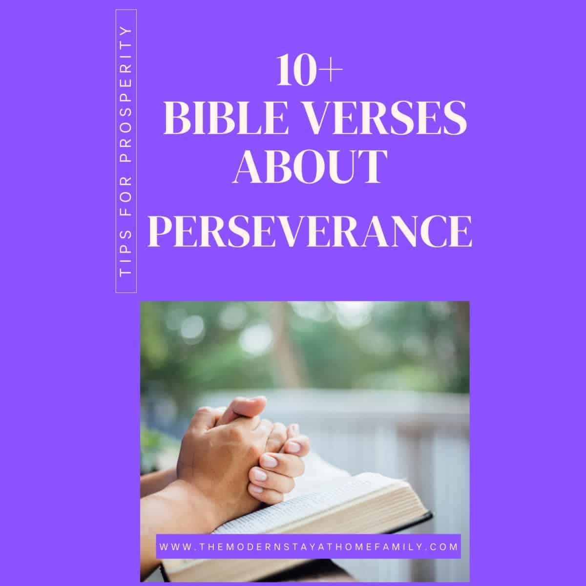 Scripture Of Perseverance 10+ Bible Verses About Perseverance - Grafted Pro